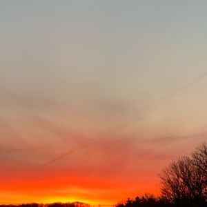 Meet your Posher, Ella